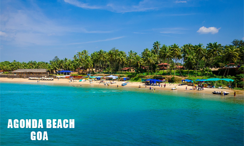 A serene beach with tall palm trees and crystal-clear blue water.