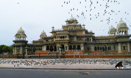 A bustling building with numerous birds soaring around it, creating a lively scene of avian activity.